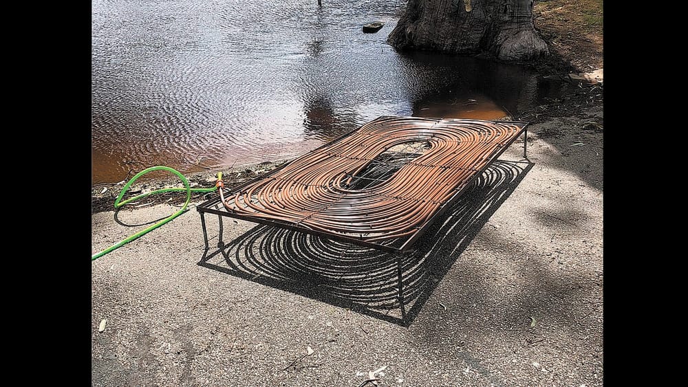 Community Leads Fish Protection post image