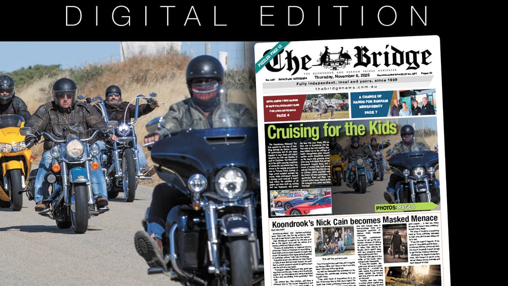 Thursday, November 6, 2025 post image