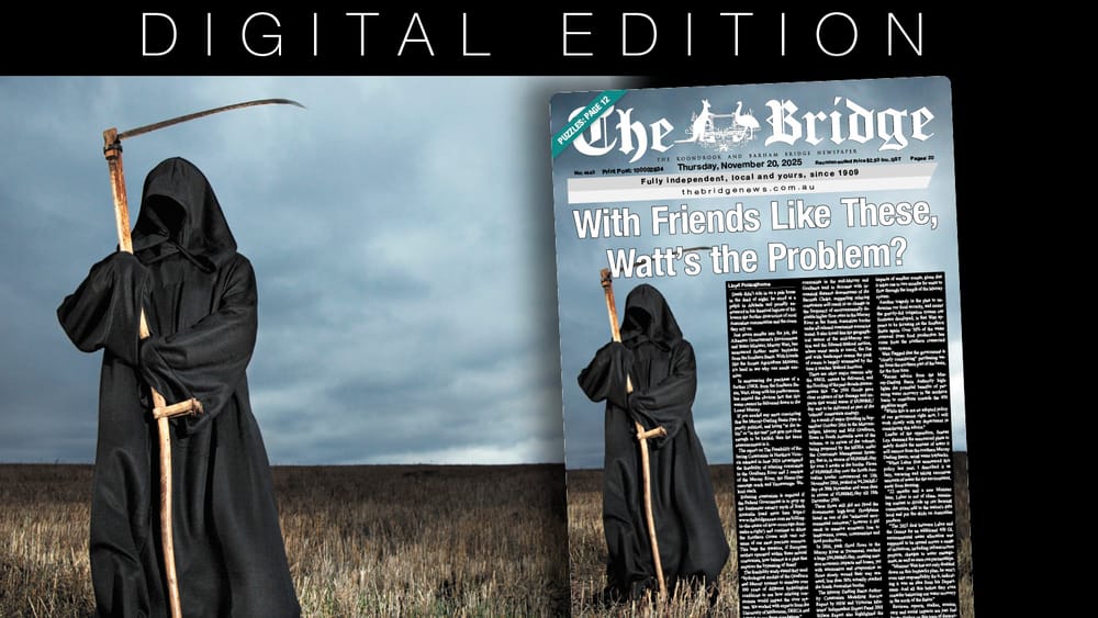 Thursday, November 20, 2025 post image