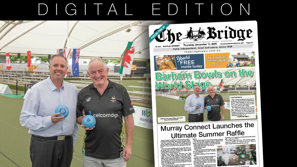 Thursday, December 11, 2025 post image