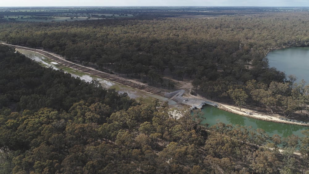 The KP Group of Forests  December report post image