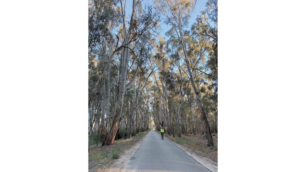 Community Journalist: One Ride at a Time, It All Adds Up post image