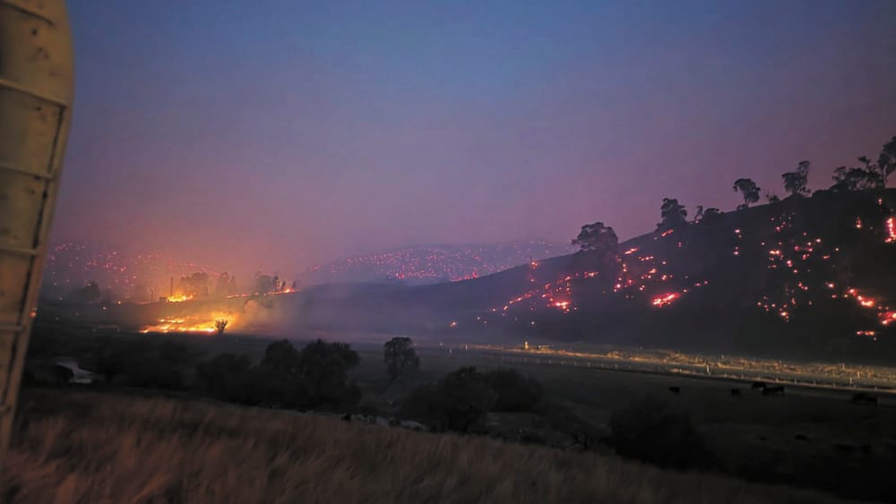 Local Hay Helping Heal Fire Wounds post image