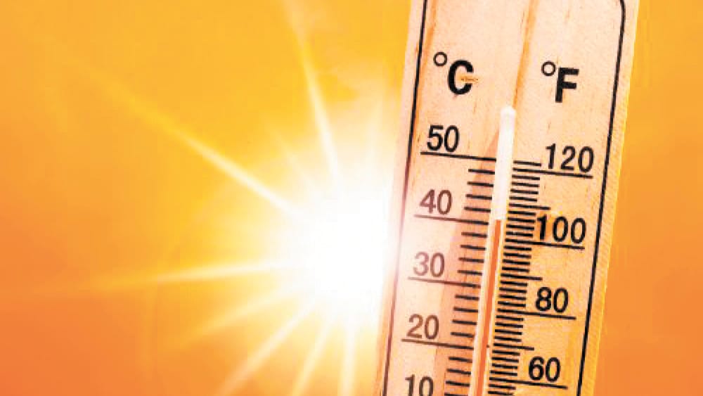 Heat halts sport post image