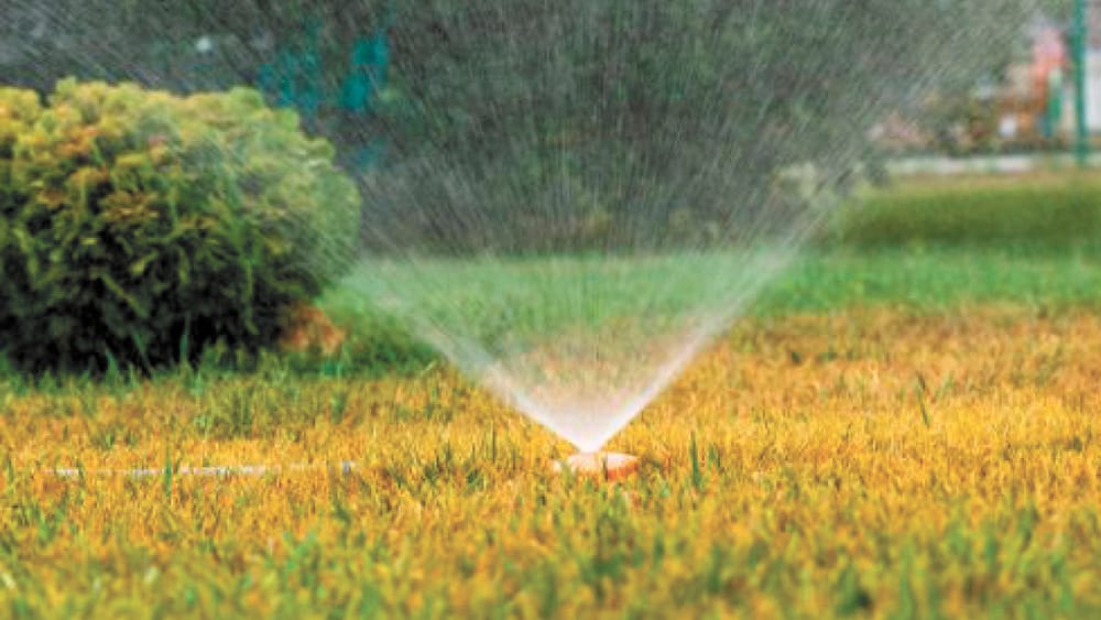 Opinion: Backyard Fun post image