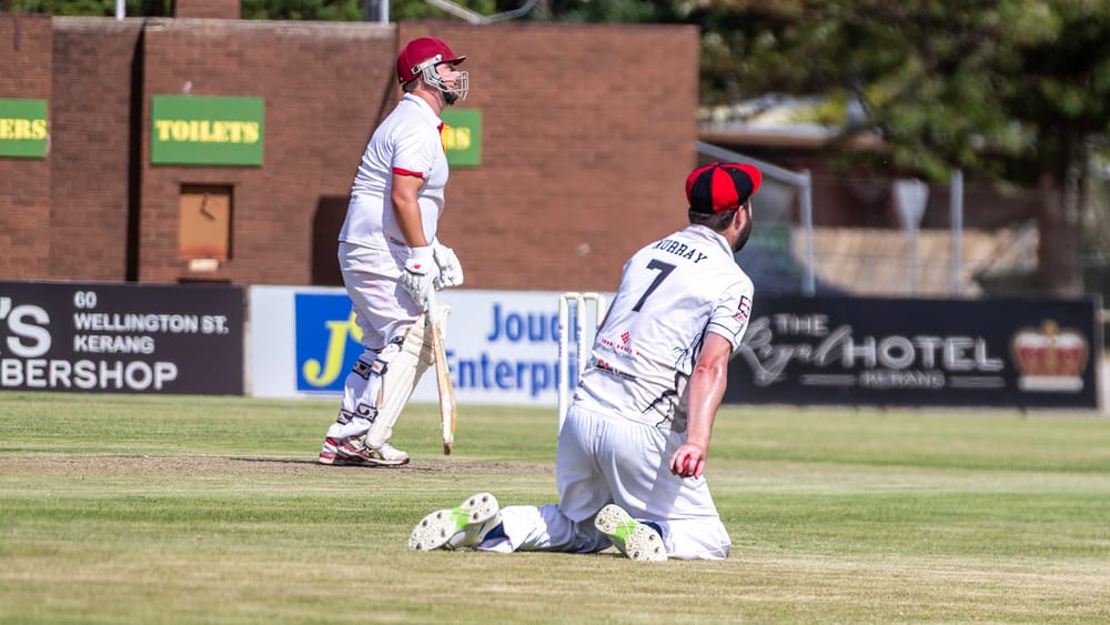 Cricket Wrap post image