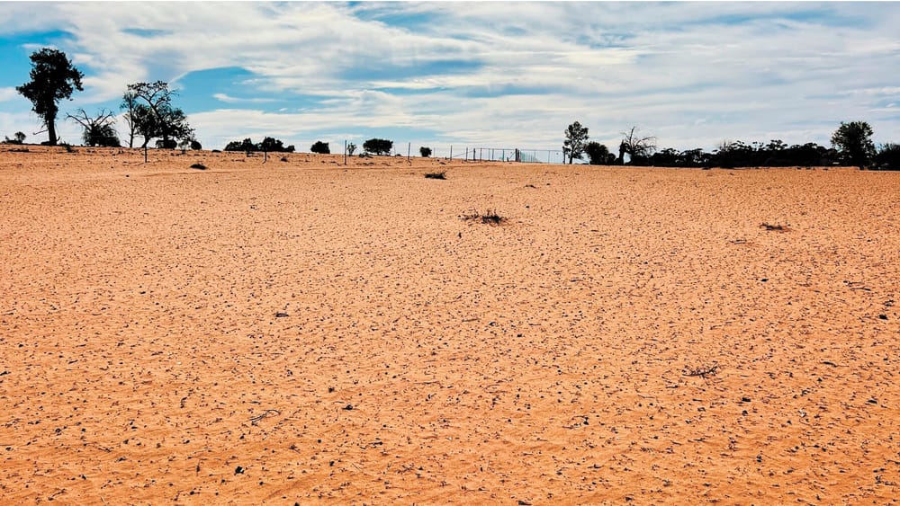 NSW Government Drought Response Welcome but Underwhelming post image