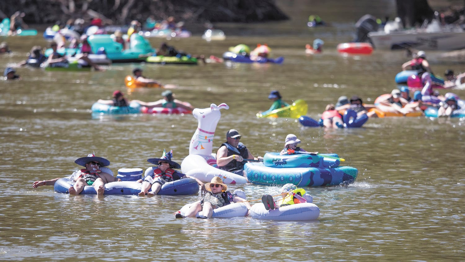 Thrills on the Murray, Lilo Fun! post image