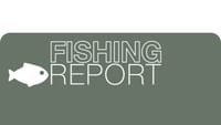 Fishing Report -27 November, 2025 post image