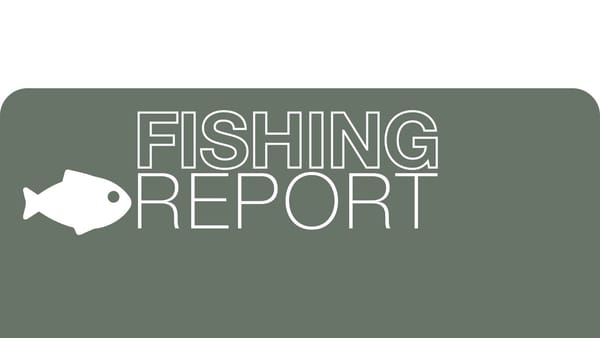Fishing Report -18 December, 2025 post image
