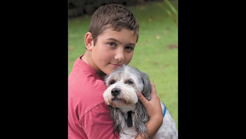 Pets Blessing post image