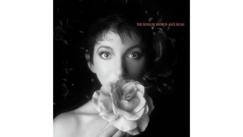 The Vinyl Countdown - June 19, 2025 post image