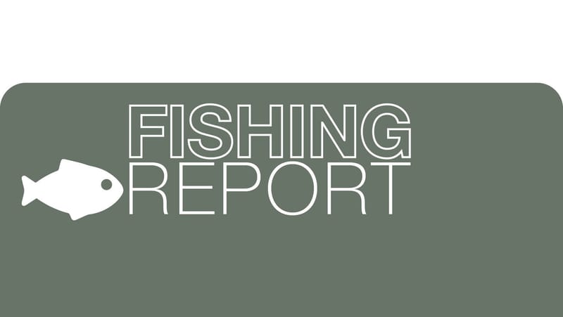 Fishing Report - August 22, 2024 post image