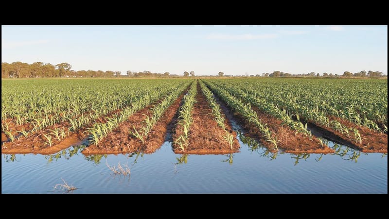 Irrigation Innovation Farm Tour 2025 post image