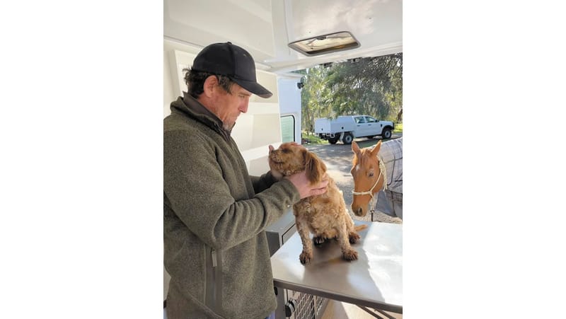 Border Vet Barham: Navigating Change with Relocation and Expanded Services post image