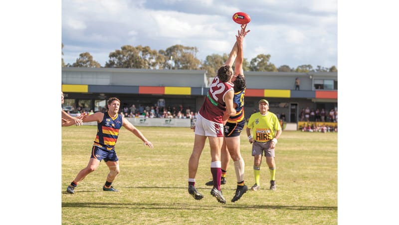 CMFL Weekly Wrap - 28 August, 2025 post image