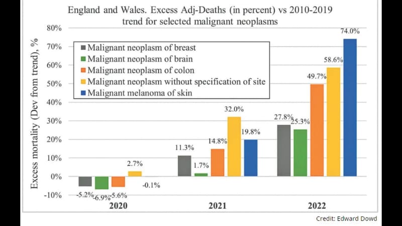 “These Were Not Vaccines; These Were Horrible Gene Therapies” post image