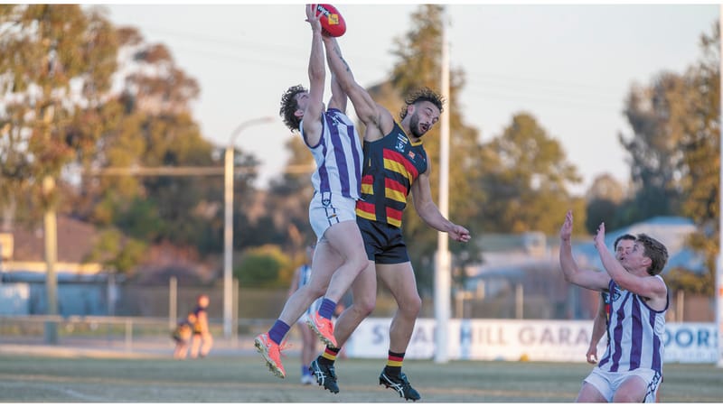 Weekly Wrap 26 June, 2025 - Cohuna crash back to earth as Woorinen stay perfect - Swans soar and Blues hold firm ahead of blockbuster rivalry clash post image