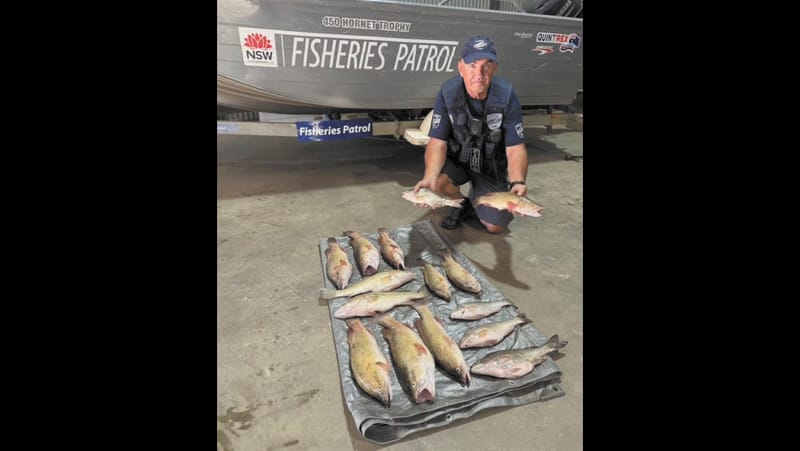 Illegal Fishers Caught post image