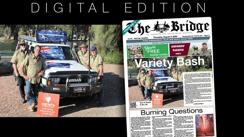 Thursday, August 8, 2024 post image