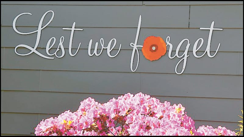 Lest we Forget - Simpson and his Donkey post image