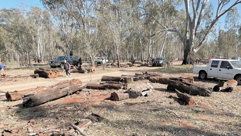 Barmah Firewood Collection post image