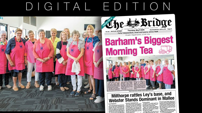 Thursday, May 8, 2025 post image