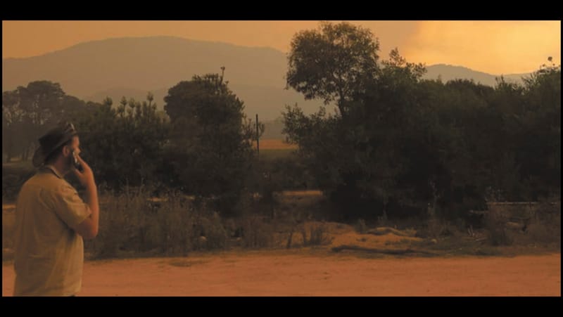 500 Animals, Fire and Feed. Life for the Treweek Family post image