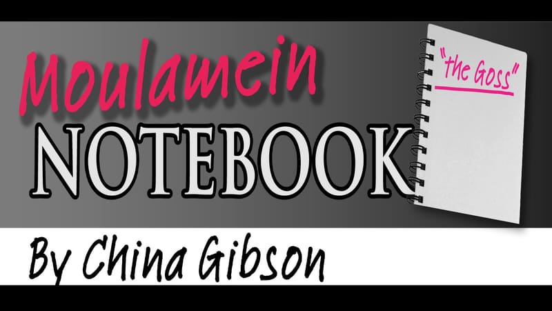 Moulamein Notebook- November 14, 2024 post image