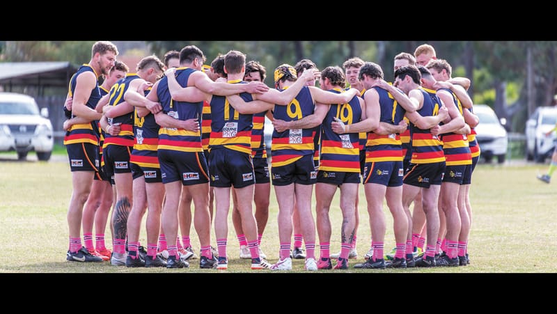 Raiders Swooped post image