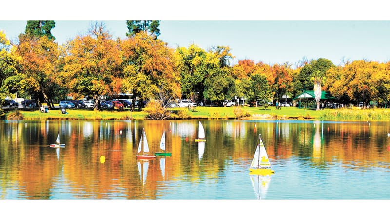 Autumn Abscission… post image