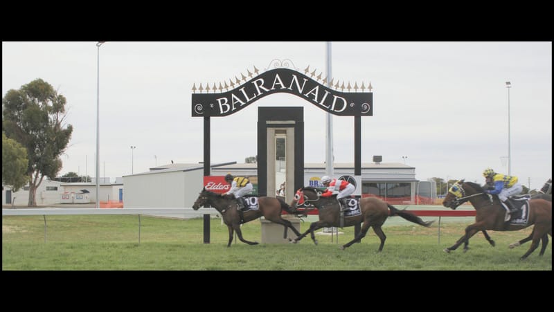 Rutilant wins Balranald Cup post image