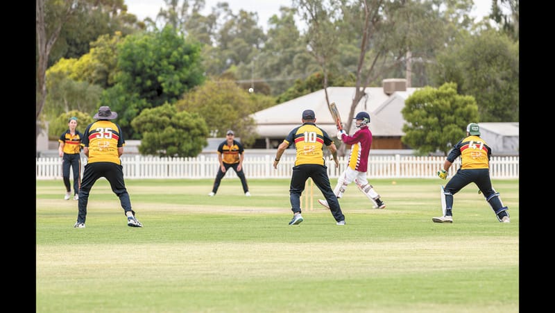 Eight-wicket victory for Raiders B post image