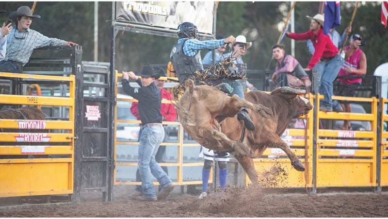 Rodeo Rocks Murrabit post image