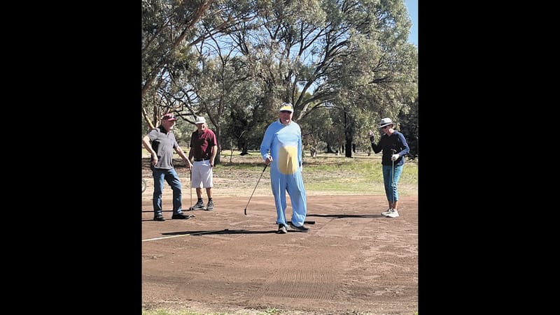 A Busy Bluey post image