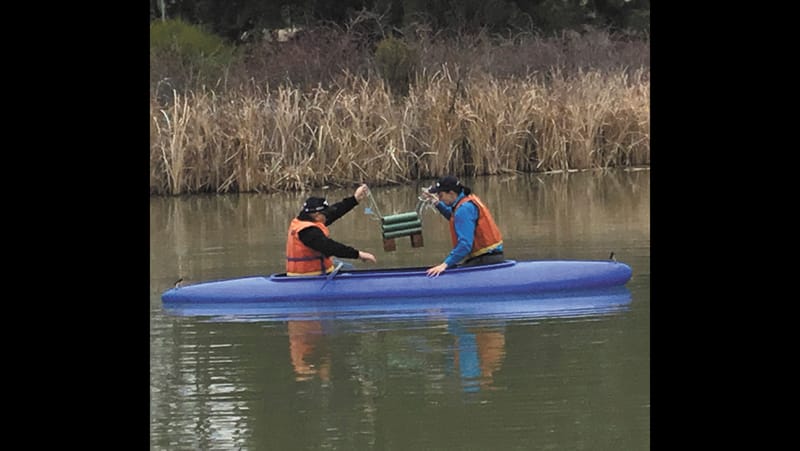 Hotels For Fish at Barham Lake post image