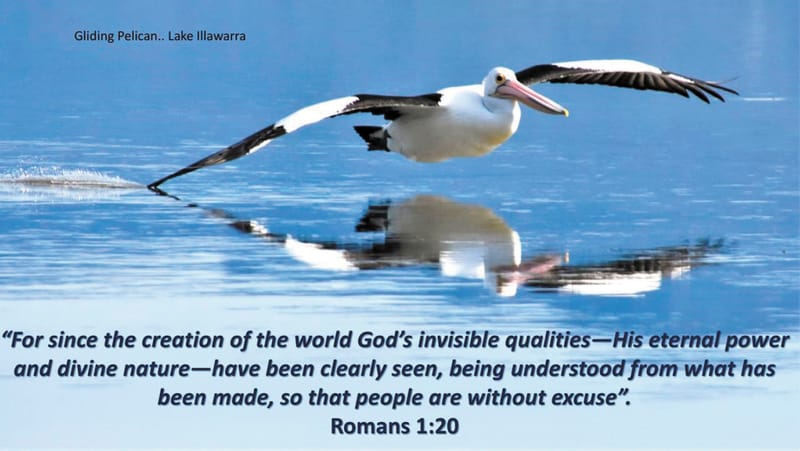 The Marvel of Flight… post image