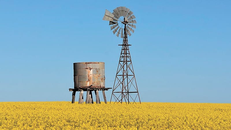 Spring Has Sprung post image