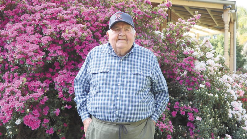 Three shears for Pa post image