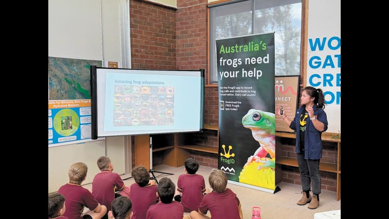 Wakool Wildlife post image