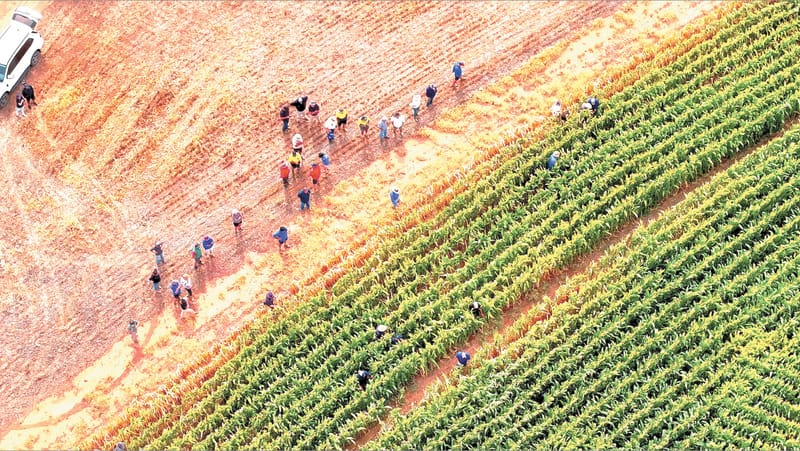 Irrigation Innovation Farm Tour strikes the right chord post image