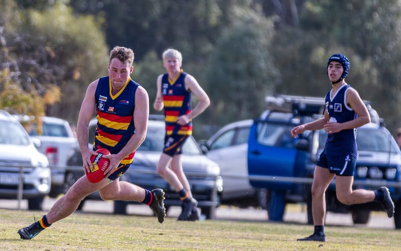 CMFL Weekly Wrap post image