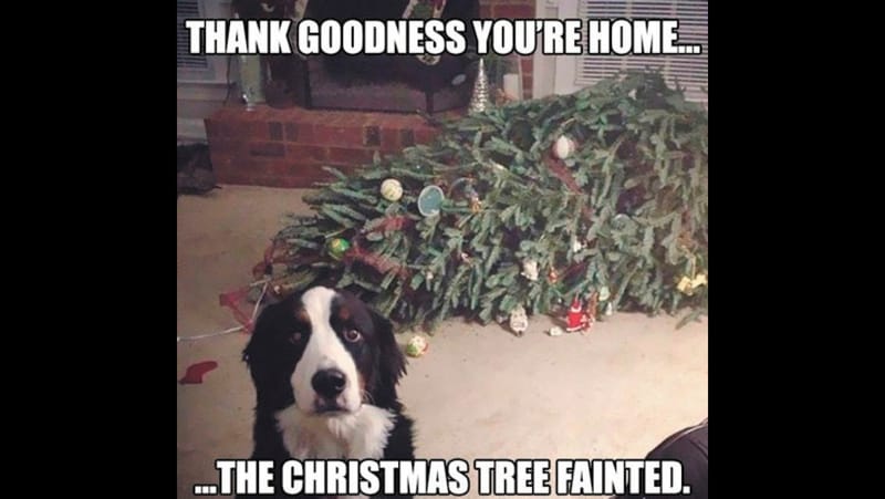 Christmas Contemplations:The Christmas Night Crash post image