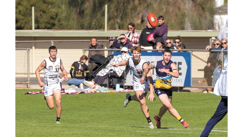 Pioneers down by two post image