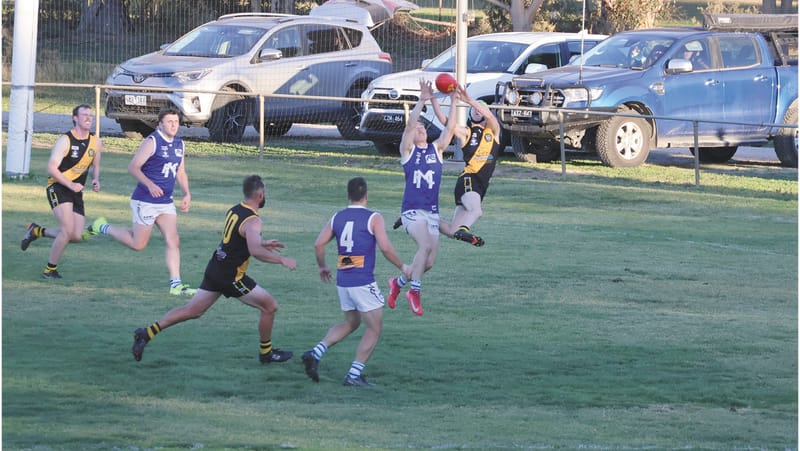 Weekly Wrap 5 June, 2025 -Murrabit bounce back, Moulamein crushed by ladder-leaders - Cohuna climb into top two after smashing Saints post image