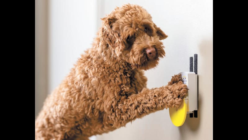 One step closer post image