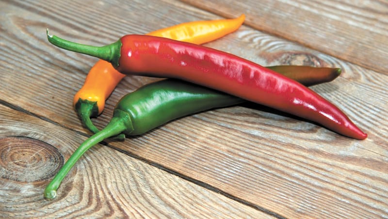 Hotter Than Before post image