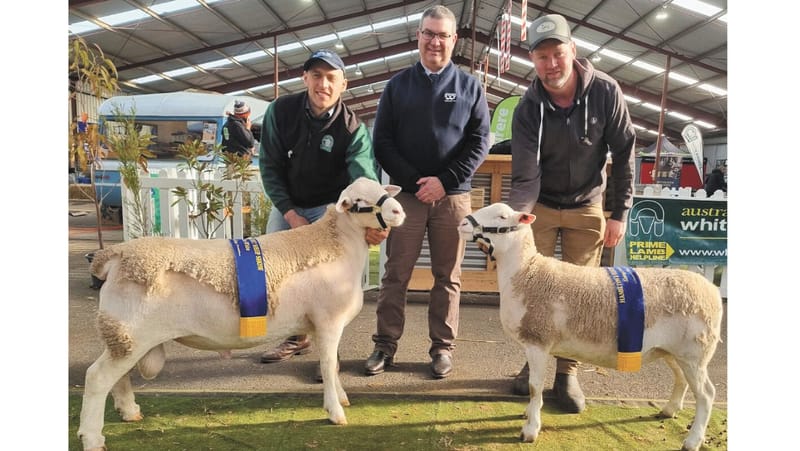 Induro Brings Home the Ribbons post image