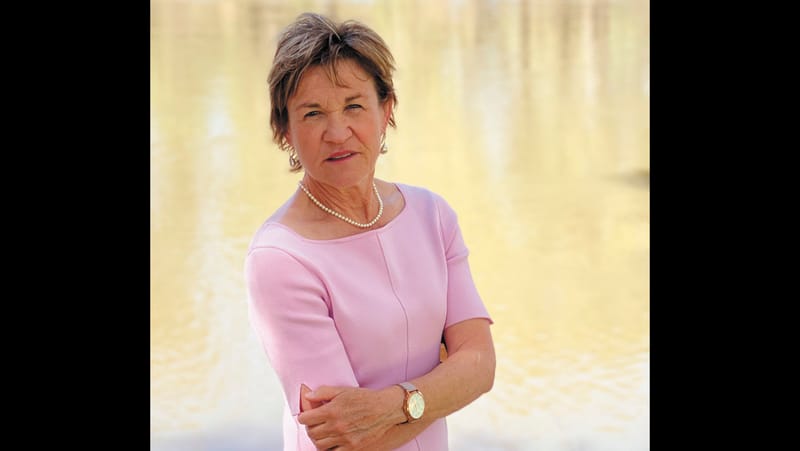 Solutions Offered As Basin Plan Flails post image