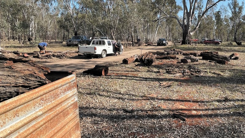 Walsh pleads for DEECA to repeat 2024 Barmah firewood collection post image